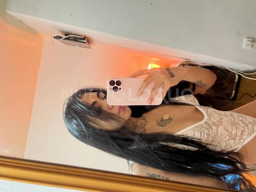 NuevoLoquo5
