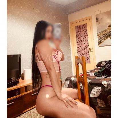 NuevoLoquo3