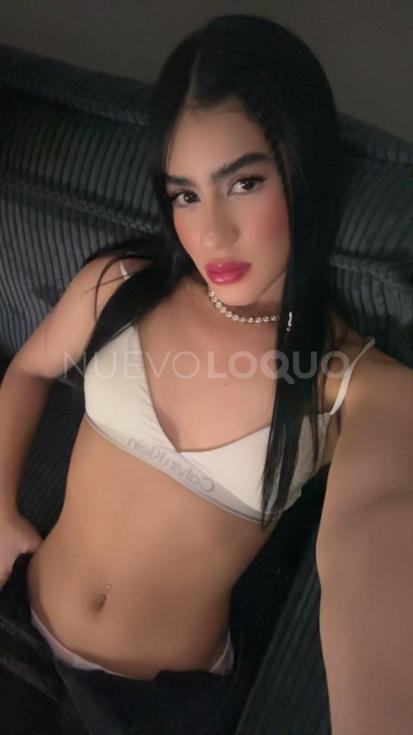 NuevoLoquo3