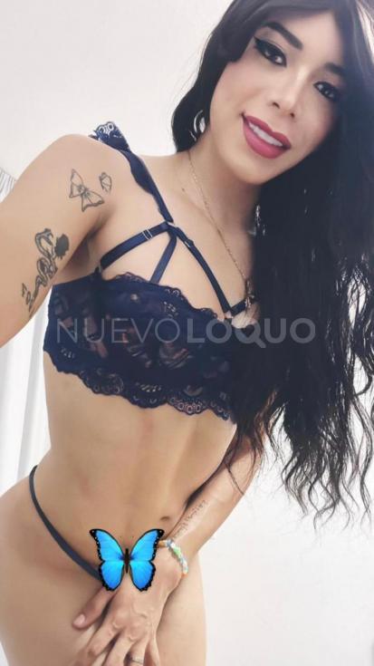 NuevoLoquo3