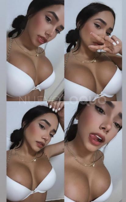 NuevoLoquo3