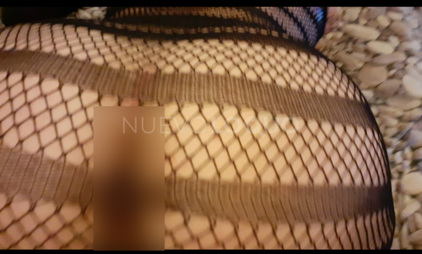 NuevoLoquo2