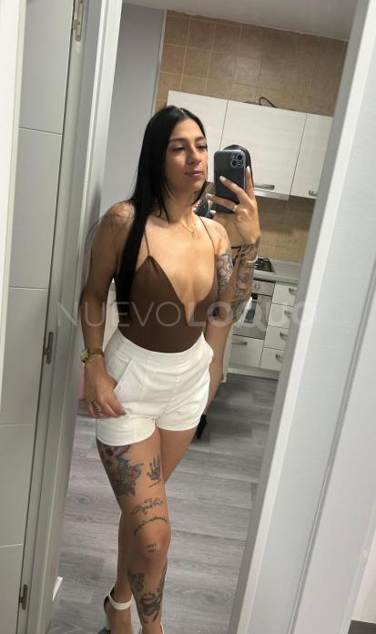 NuevoLoquo2