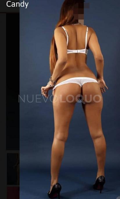 NuevoLoquo3