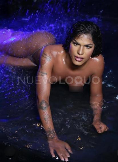 NuevoLoquo1