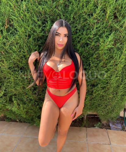 NuevoLoquo1