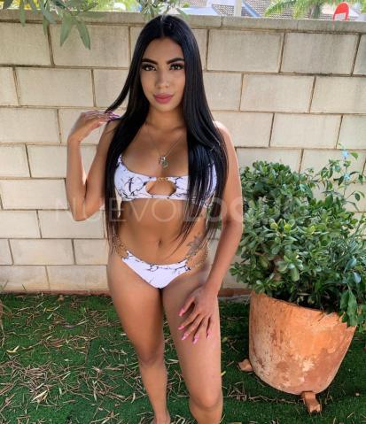 NuevoLoquo3