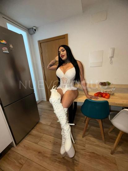 NuevoLoquo3