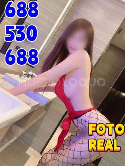 NuevoLoquo5