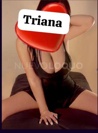NuevoLoquo4