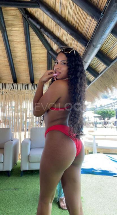 NuevoLoquo3