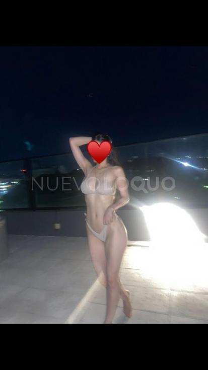 NuevoLoquo2