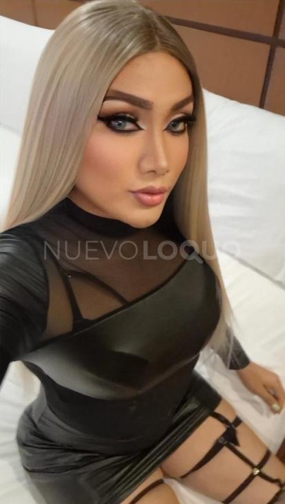 NuevoLoquo3