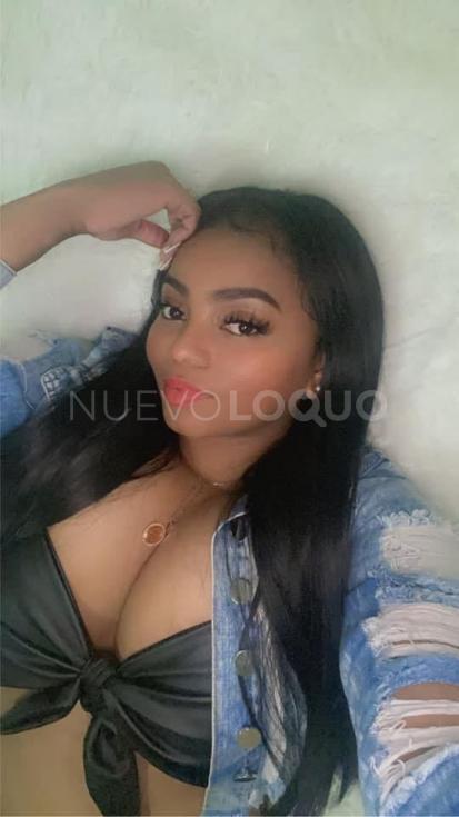 NuevoLoquo4