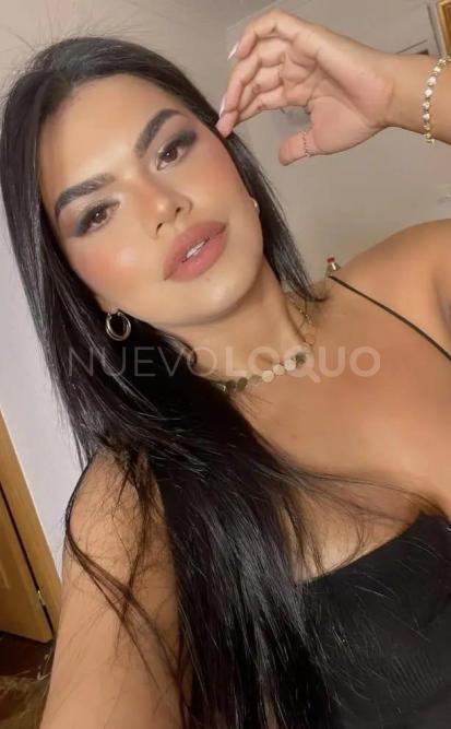 NuevoLoquo1