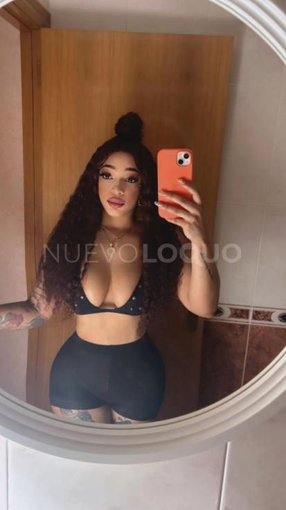 NuevoLoquo2