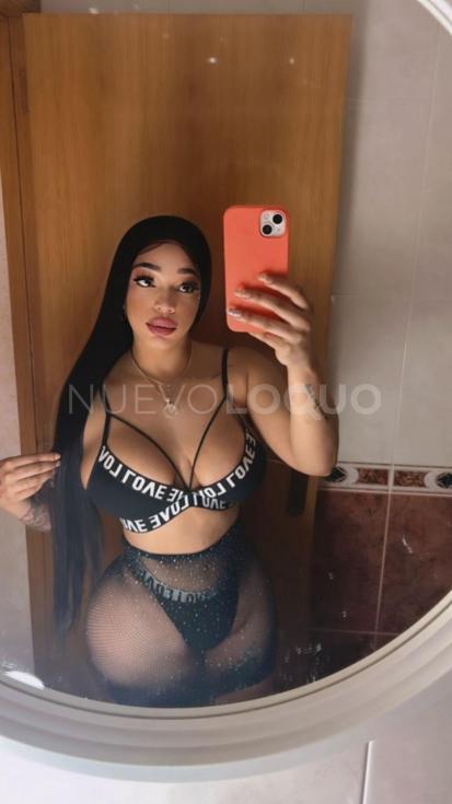 NuevoLoquo3