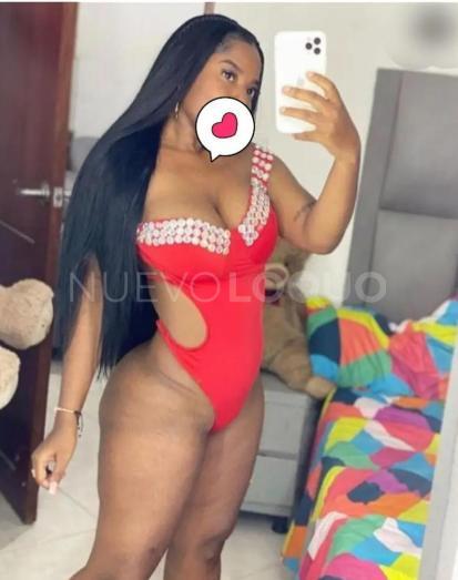 NuevoLoquo3