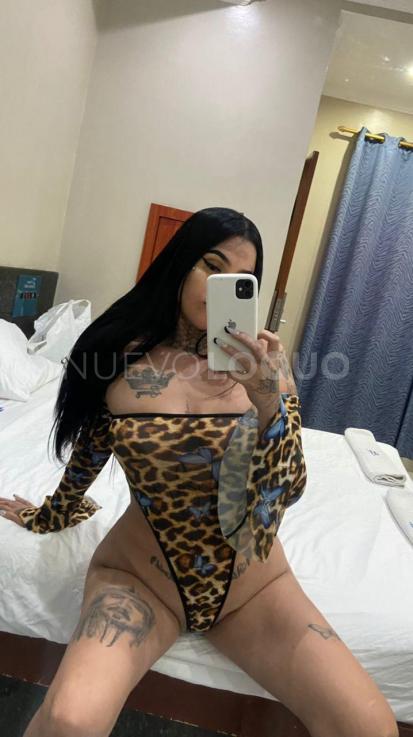 NuevoLoquo1