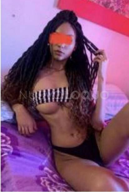 NuevoLoquo2