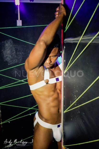 NuevoLoquo3