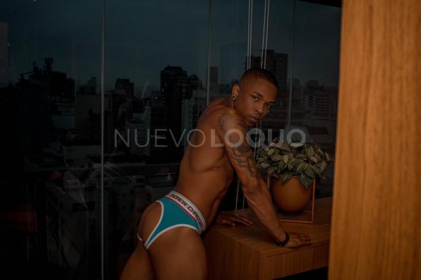 NuevoLoquo4