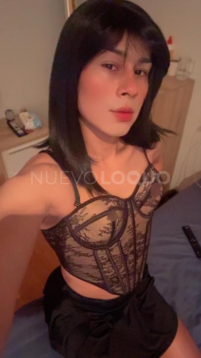 NuevoLoquo4