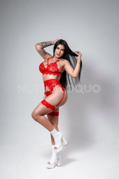 NuevoLoquo2