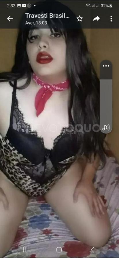 NuevoLoquo0