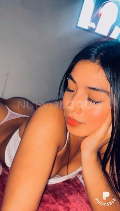 NuevoLoquo2