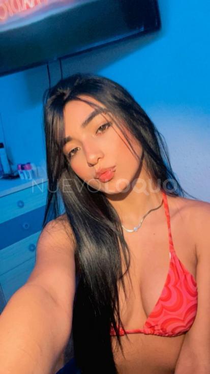 NuevoLoquo3