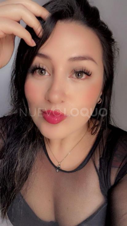 NuevoLoquo3