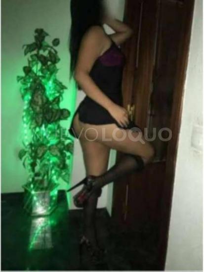 NuevoLoquo3