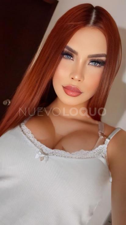 NuevoLoquo1