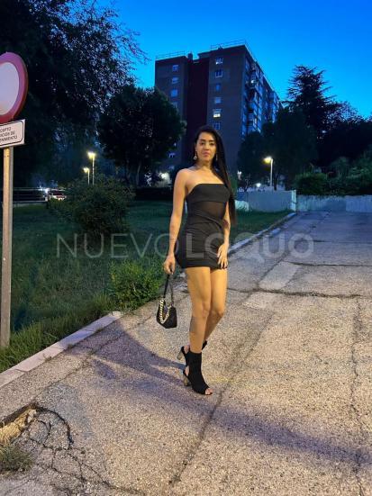 NuevoLoquo3