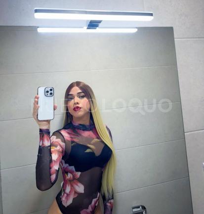 NuevoLoquo3