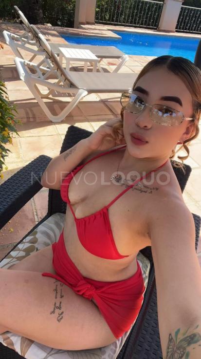 NuevoLoquo1