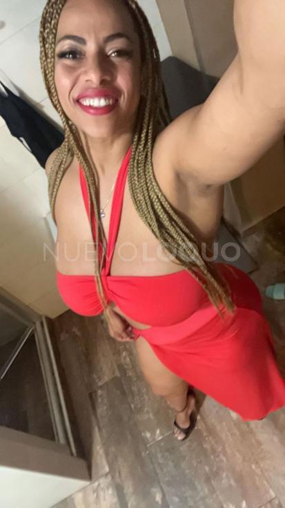 NuevoLoquo3