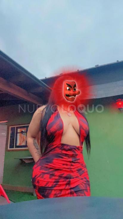NuevoLoquo2