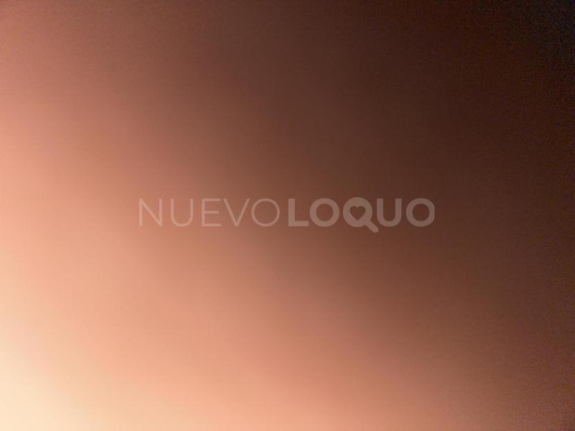 NuevoLoquo2