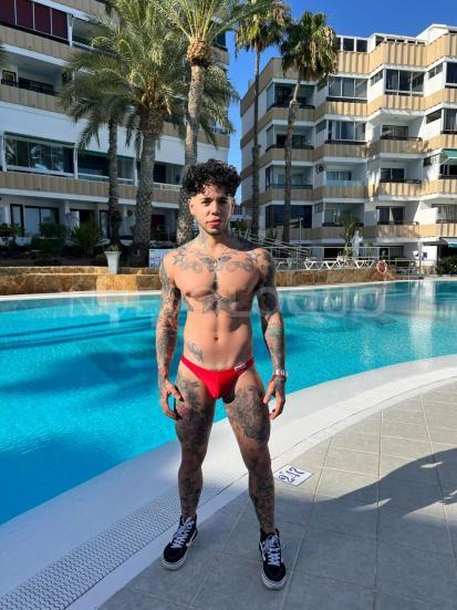 NuevoLoquo2