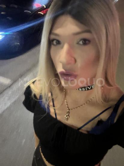 NuevoLoquo3