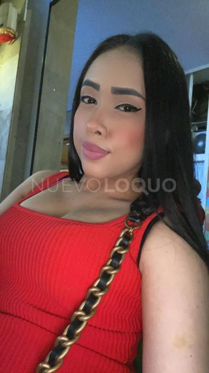 NuevoLoquo4