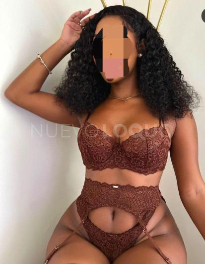 NuevoLoquo2