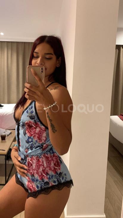 NuevoLoquo3