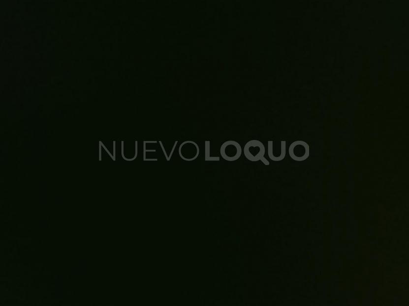 NuevoLoquo2