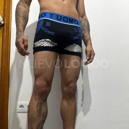 NuevoLoquo1