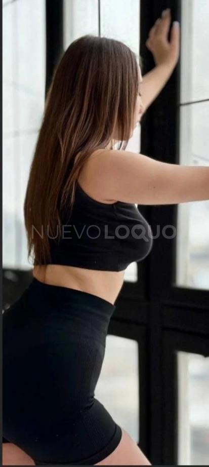 NuevoLoquo3