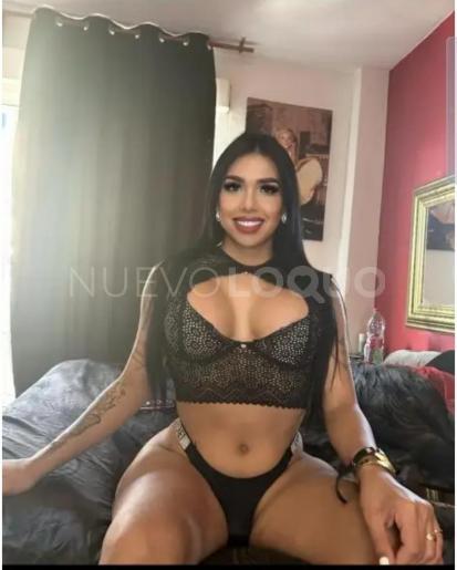 NuevoLoquo1