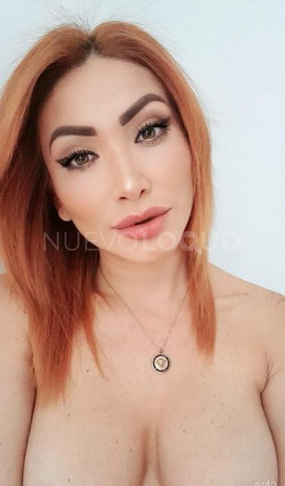 NuevoLoquo1